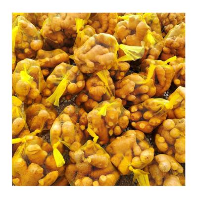 China Best Quality Fresh Chinese Ginger Fresh Ginger In Carton Professional Export Fresh Ginger For Wholesale for sale