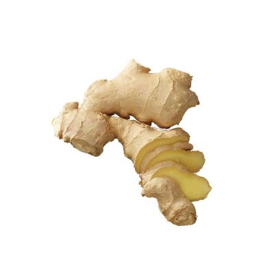 China Fresh Ginger China Fresh Washed Professional Best Quality Ginger Export Fresh Ginger For Wholesale for sale