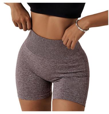 China Breathable Wholesale Seamless Tummy Control Butt Lift Shorts Gym Bottom Yoga Workout Pants Women Compression Contour Shorts for sale