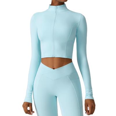 China Breathable Hot Selling Gym Fitness Sets Seamless High Stretchy Long Sleeve Crop Tops With High Waisted Leggings Sportswear For Women for sale