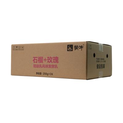 China 24 Bottle Milk Beverage Cardboard Box Recyclable Corrugated Shipping Cartons for sale