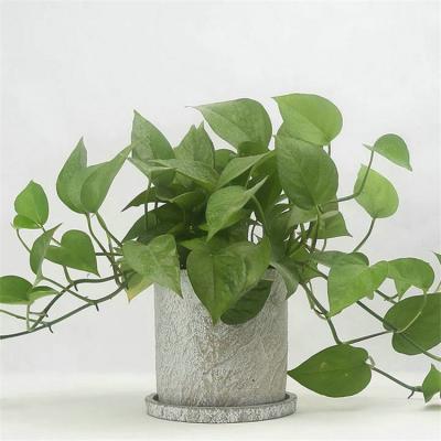 China Ware ceramic vases cheap matte rustic style flower pots/garden gardening wholesale molds for concrete planters for sale