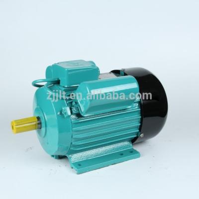 China YL 110/220V AC Single Phase Electric Motors YL Series Two-Value Fully Enclosed Capacitor Single Phase Motor for sale