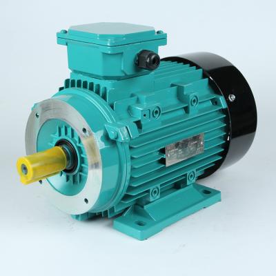 China High Torque Single Phase Totally Enclosed Motor 60 Kw Electric Motor for sale