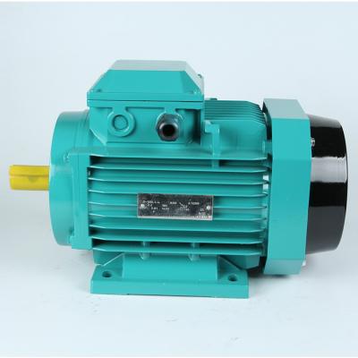 China Totally Enclosed China Made Y2 Series AC Electric Motors 3 Phase 55 Kw 2 4 6 Pole Electric Motor for sale