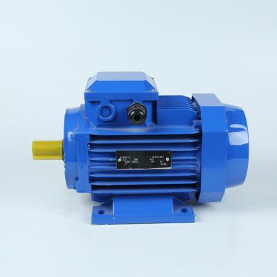 China Electric Motor Features Y2 Series 7.5kw 11kw Totally Enclosed Three Phase Motor for sale