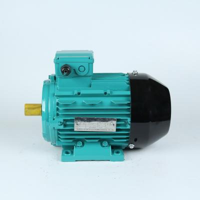 China Totally Enclosed Aluminum Electric Motor 0.06kw-18.5kw 50hz/60hz AC 100L1-4P 2.2 Kw Three Phase Motor for sale