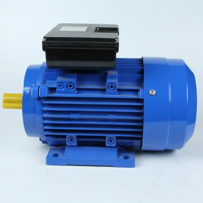 China YL ML YL YC YY YCL Single Phase Motor 220V 110V 230V 240V 250V Totally Enclosed AC MOTOR for sale