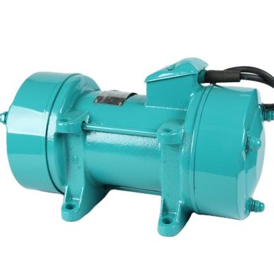 China Building Material Shops ZW-10 Concrete Vibrator 2.2KW 220V Concrete Vibrator 3HP Electric Vibrator Motor for sale