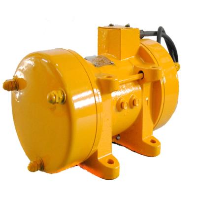 China Building Material Shops ZW-7 Concrete Vibrator 2HP Concrete Vibrator 1.5KW 220V Electric Vibrator Motor for sale