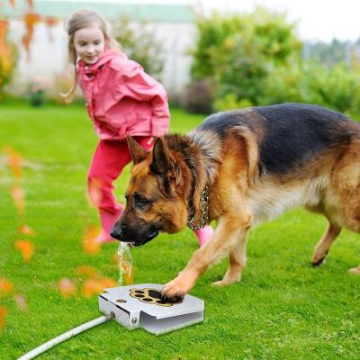 China September promotion automatic super dog water fountain for sale