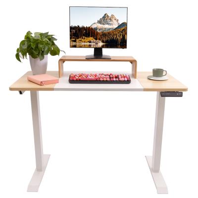 China (Size) Office Furniture Modern Adjustable Sit Stand Table Desk Adjustable Electric Standing Desk With Desk for sale