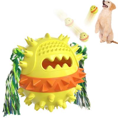 China New Amazon Pet Products Pet Products Pet Dog Stored Toothbrush Stick Pet Grinding Permeable Cleaning Ball Chewing Toy for sale