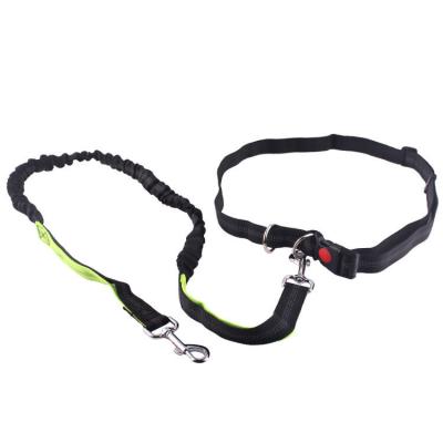 China Stocked Border Dog Leash Pet Supplies Pet Dog Running Shrink Leash for sale