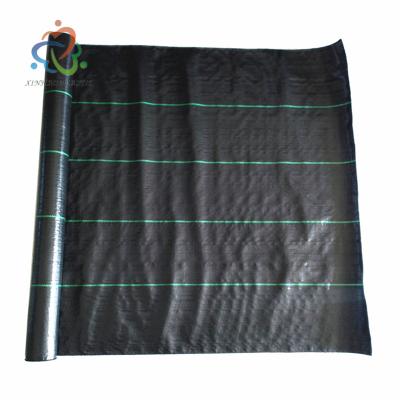 China Weed Mat Rolled PP or PE Weed Control Fabric 2x50m 2x100m Packing Anti UV For Agriculture for sale