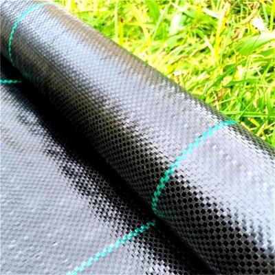 China Heavy duty PP or PE 4x50m weed control fabric feathery stipe landscape fabric ground cover 4x100m for sale