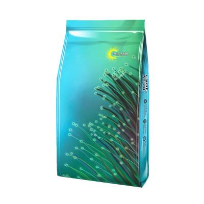 China MOQ 500PCS 25KGS 50X80CM Recyclable Ferterlizer Bag Printed Bags Customized PP Woven Bags With Liner for sale