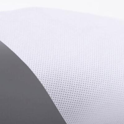 China White Color Moth Proof PP Spunbond Agricultural Nonwoven Fabric With Good Quality Polypropylene Non Woven Fabric for sale