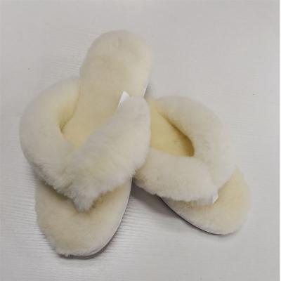 China 2021 fashion trend new style sheepskin slippers real winter indoor slippers for women for sale