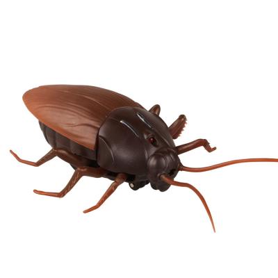 China Children's toys market toysMarket hot selling scary h commercial simulation infrared remote control electric trickery foreign trade cockroach for sale