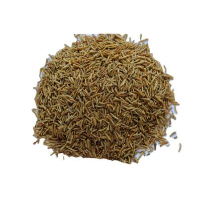 China Bird food factory price finely processed production larva pet food fly larvae for sale for sale