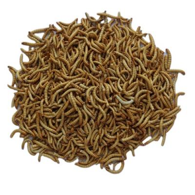 China Wholesale Fish Food Low Cost Guaranteed Quality Appropriate Prices Bulk Dry Pet Food Mealworms for sale