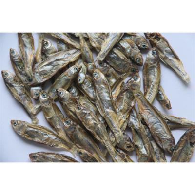 China Pet Food Wholesale Best Selling Finely Processed Dried Pet Food Packing River Fish for sale