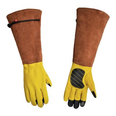 China Hot Selling Puncture Resistant Amazon Household Tree Planting Garden Gloves For Men Women General for sale