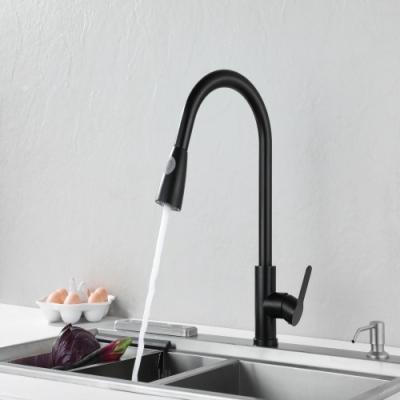 China Pull Out Wall Mounted Spray Stainless Steel Black And Gold Pull Out Faucet Kitchen Sink Faucet for sale