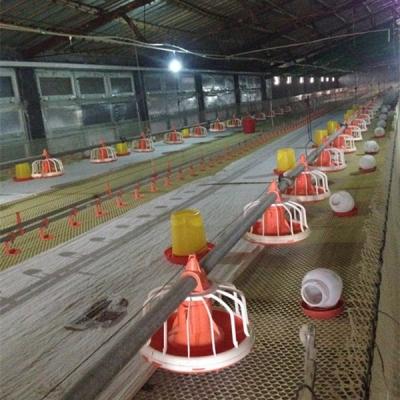 中国 Poultry Farms 2015 Full Controlled Automatic Chicken Farm Equipment For Broiler 販売のため