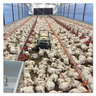 中国 2017 Popular Selling Farms Chicken Farm Supplies Farm Equipment Automatic Chicken 販売のため