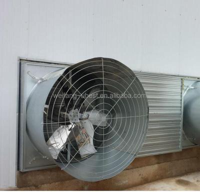 中国 Farms Poultry House Farm Threw Ventilation Exhaust Poultry Cooling Fan 販売のため