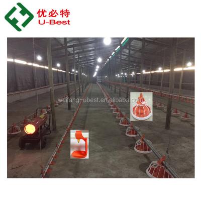 中国 Farms China factory price automatic poultry farming equipment chicken shed for broiler and breeder bird 販売のため