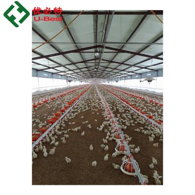 中国 Automatic Poultry Farm Equipment Chicken Farms China Factory Supply 販売のため