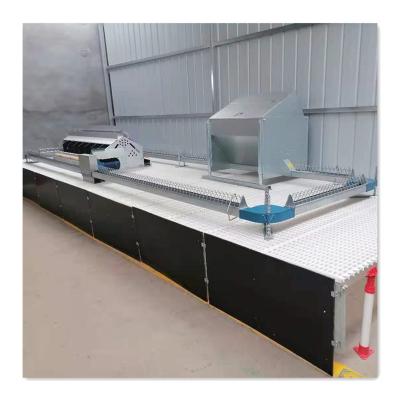 China Farms Automatic Chain Pan Breeder Feeding System For Poultry Equipment for sale