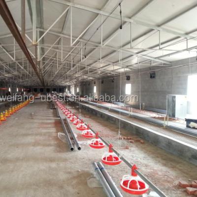 中国 South African Chain Feeding Farms Female Breeder And Lay Hens System / Breeder Chicken Chain Feeder 販売のため