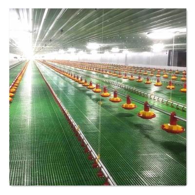 China House Turnkey Broiler Chicken Equipment Blueprint Poultry Farms Project Operator/Drinker/Auto Fan/Protection/Cooling Heater for sale