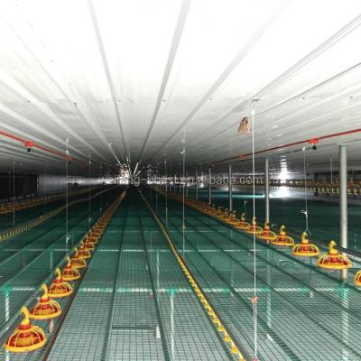 中国 Farms Philippines House Design Tunnel Ventilation Poultry Shed Farm Equipment Automatic Feeding/Drinking/Fan For Growing Chickens 販売のため