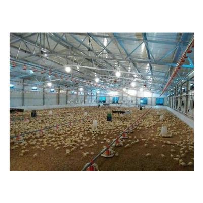 China Farms China Factory Supply Poultry Farm House High Modern Design For Chicken for sale