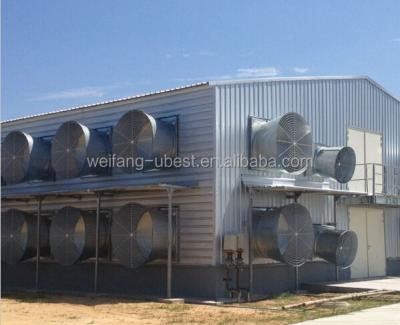 中国 Farms Frame Type Steel And Metal Steel Material Poultry Shed / Galvanized Chicken Equipments Shed /chicken House Shed 販売のため