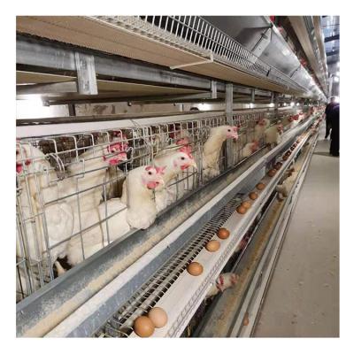 中国 HOT Selling Complete Automatic Egg Chicken Poultry Farming Equipment Battery Layer Cages In South Africa 販売のため