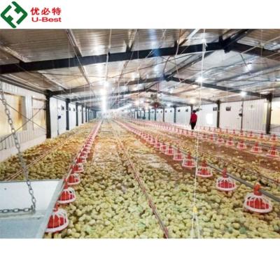 Κίνα Farms New Design Poultry Automatic Feeding System For Broiler Farm προς πώληση