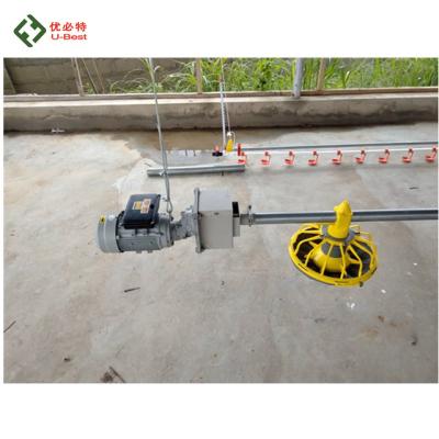 China Automatic Farms Poultry Feeding System With High Quality And Competitive Price For Broiler And Breeder Chicken à venda