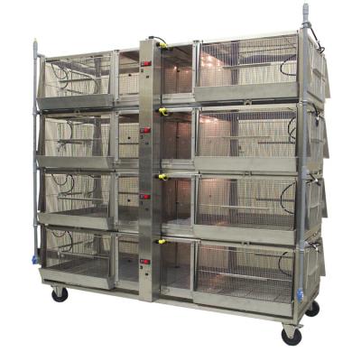 中国 Poultry Cage Chicken Farm Broiler Battery Cages Customized Anti-rust Automatic Feeding Broiler Chicken Cage 販売のため