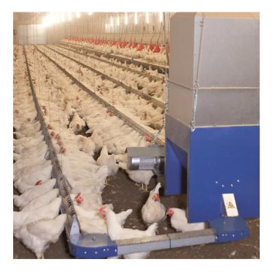 中国 Poultry farm newcomer feeder for chicken breeder egg laying nest poultry house for breeding chicken 販売のため