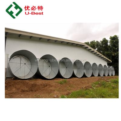 中国 Farms Supply Poultry Farm Tunnel Ventilated Shed Chicken House Building For Sale In Philippines 販売のため