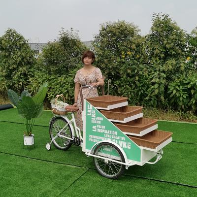 中国 Custom Mobile Food Cart Bike Food Cart Street Food Cart Flower Winery and Hand Beverage Cart Mobile Ice Cream 販売のため