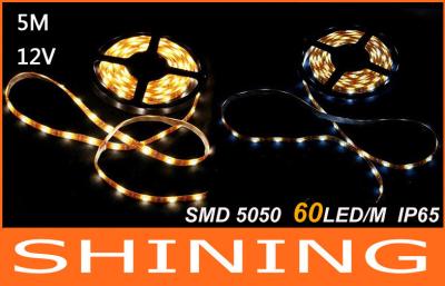 China 3000K 5m Energy Saving RGB LED Strip Light , 75W Multi-color Rope Light for sale