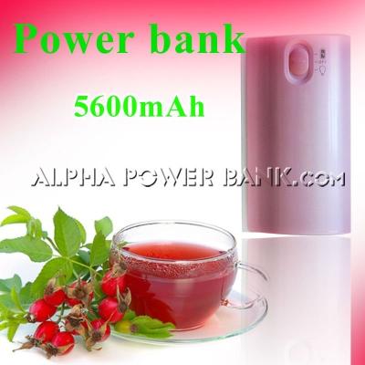 China Universal Portable Power Bank 5600mah  for sale