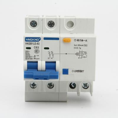 China RCBO HKGB1LE-63/2P 40A 50A 63A 230/400V Small AC Leakage Circuit Breaker 4.5KA/6KA for sale